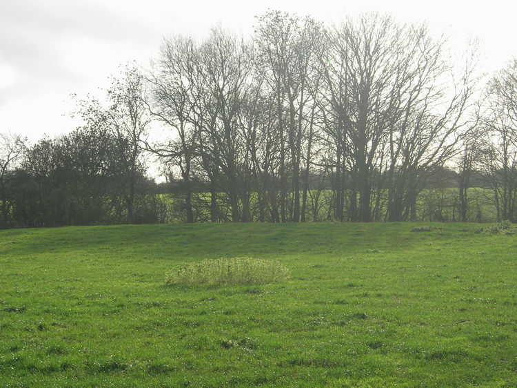 Norbury Hillfort Barrow