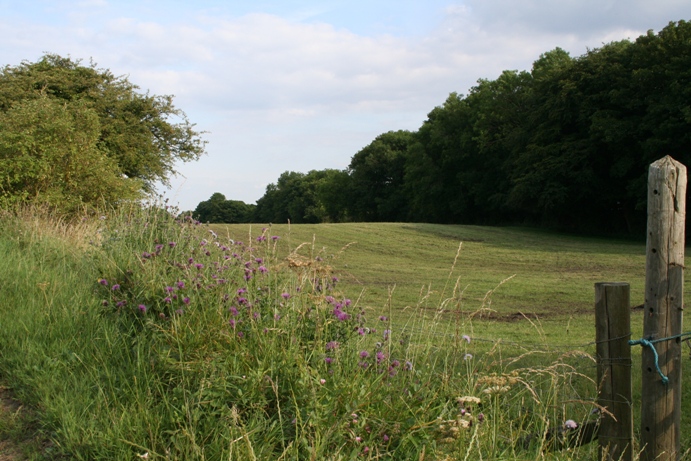 Norbury Hillfort (Farmington)