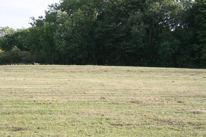 Norbury Hillfort Barrow