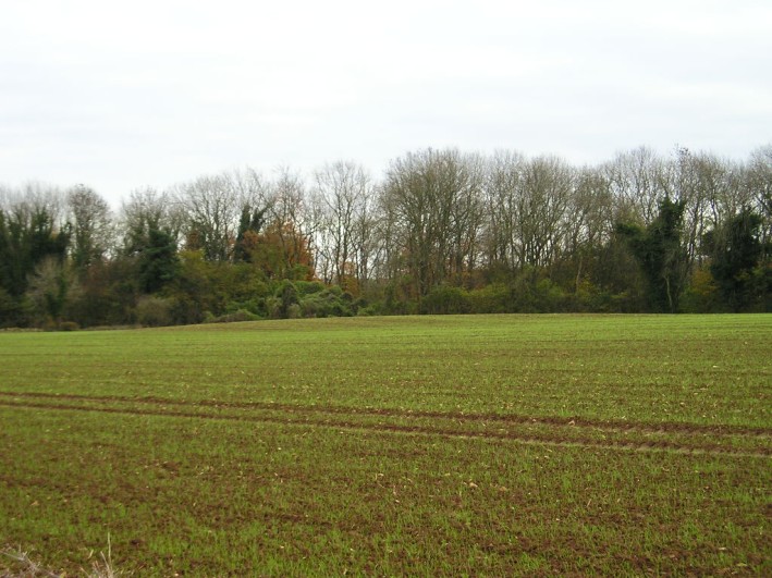 View looking southeast of the remains of this long barrow, seen just to the south of the track past Woodleaze Farm. It has been completely ploughed over, leaving only traces of it as a slight mound in the field level.
