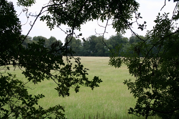 Ranbury Ring