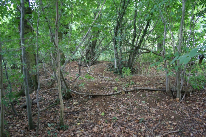 Hasleden Barrow