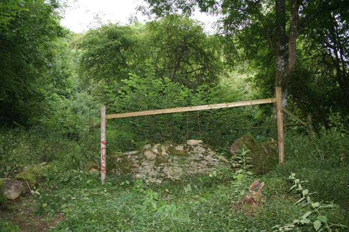 Cassey Well