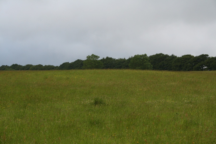 Stanway Bowl Barrows