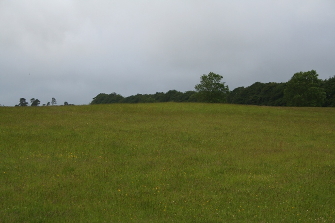 Stanway Bowl Barrows