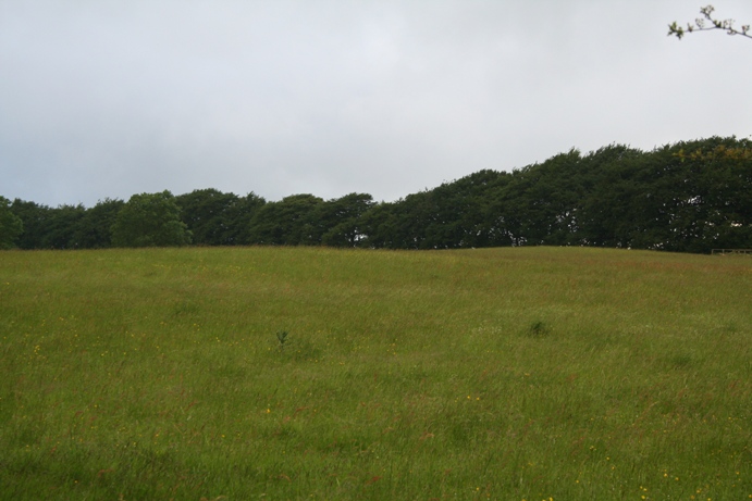 Stanway Bowl Barrows