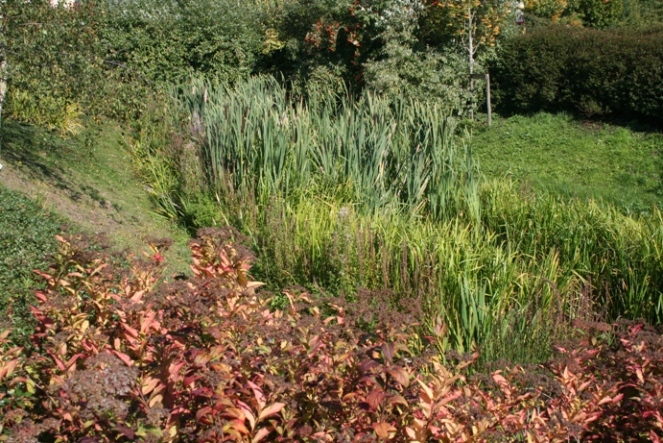 Magdalen Mead Well