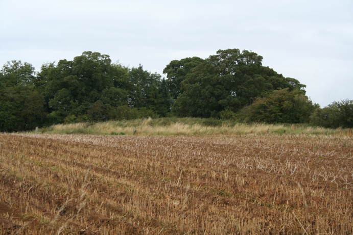 Tetbury Bowl Barrow