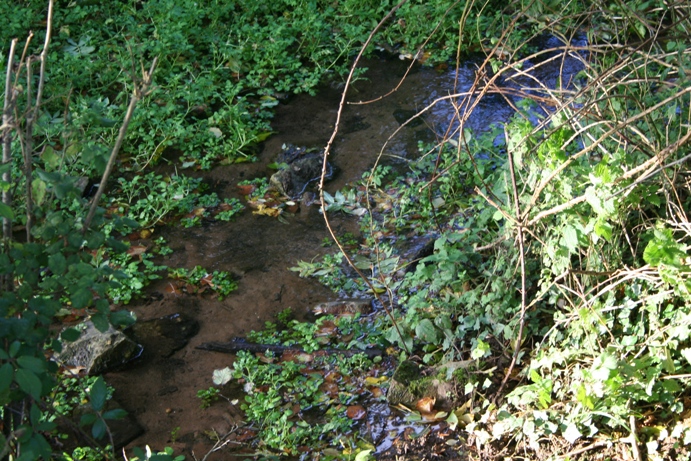 St Arilds Well