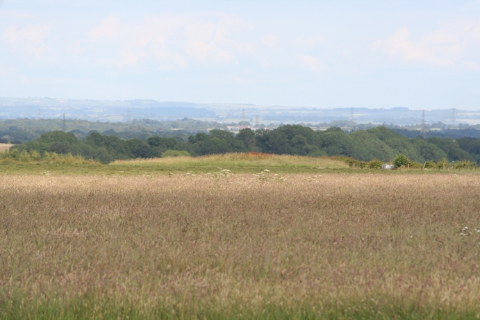 West Littleton Down