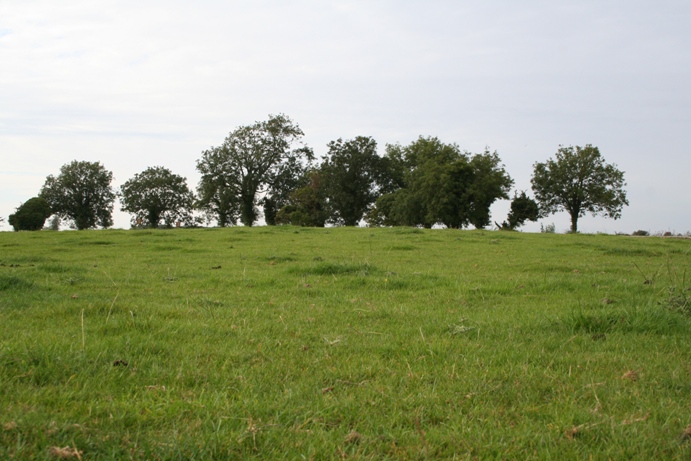 Bowldownwood Round Barrows