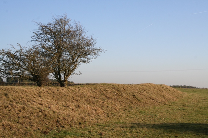 Windrush Camp