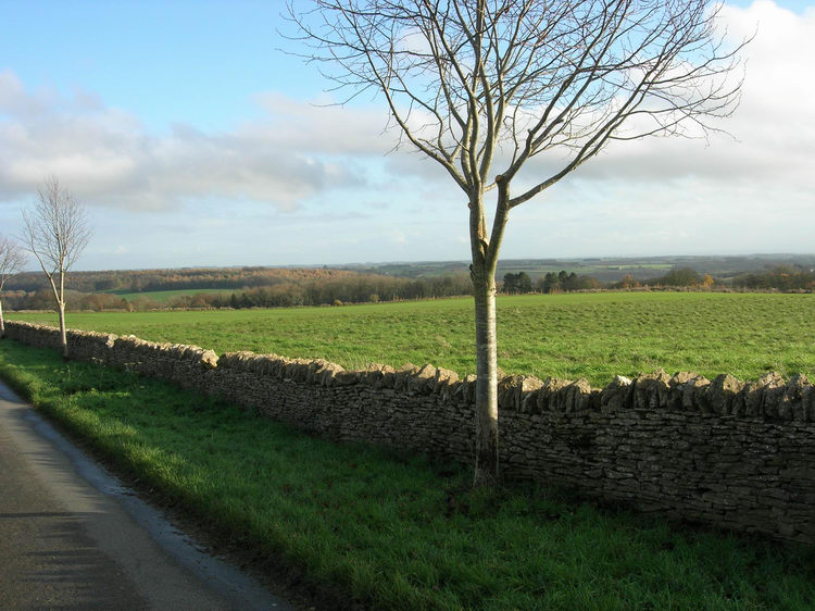 Woodbarrow (Glos)