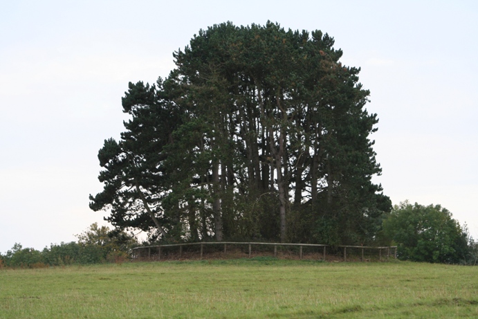 North Cerney 2