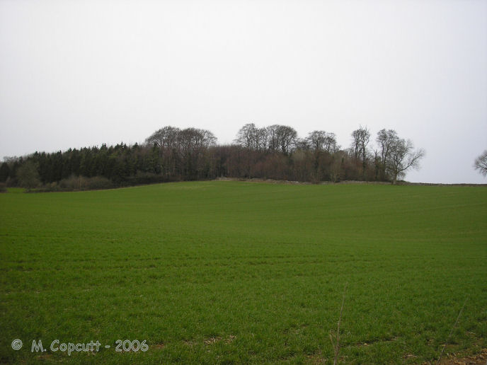 Poles Wood East