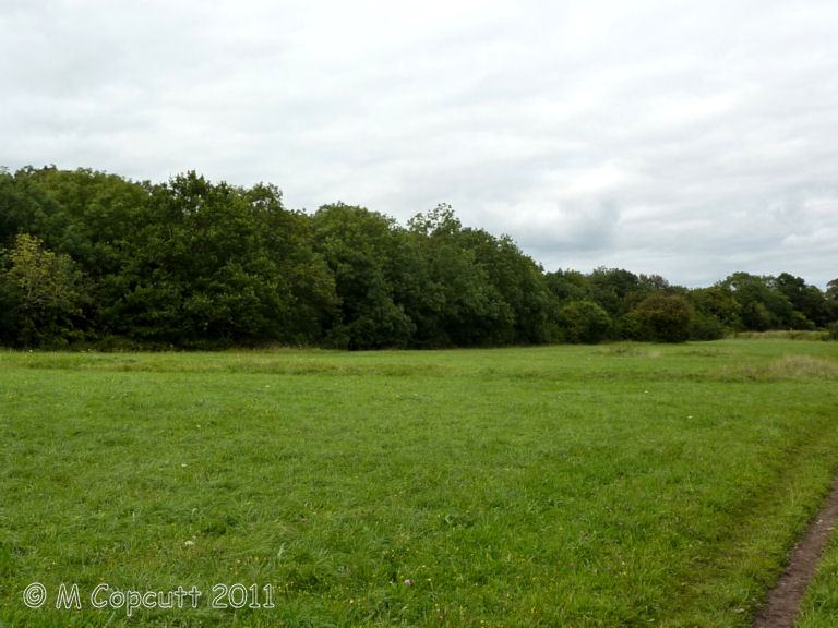 King's Weston Hill stockpound