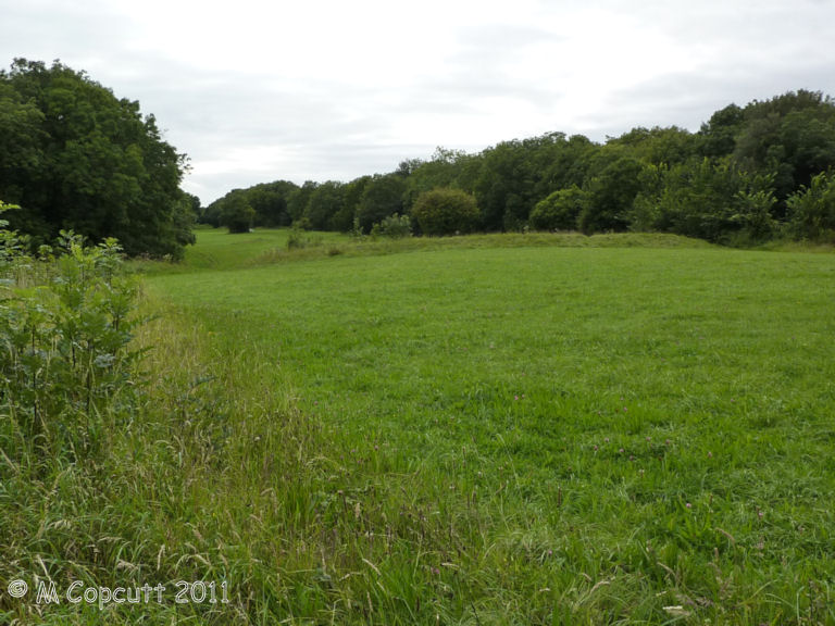 King's Weston Hillfort