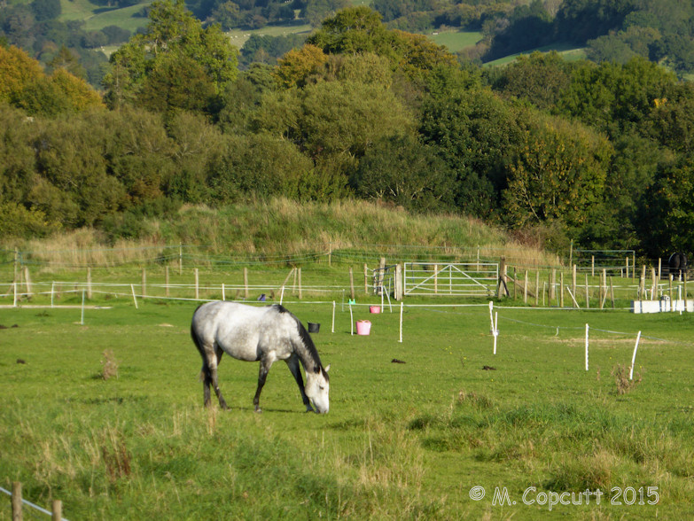 Bitton Round Barrow