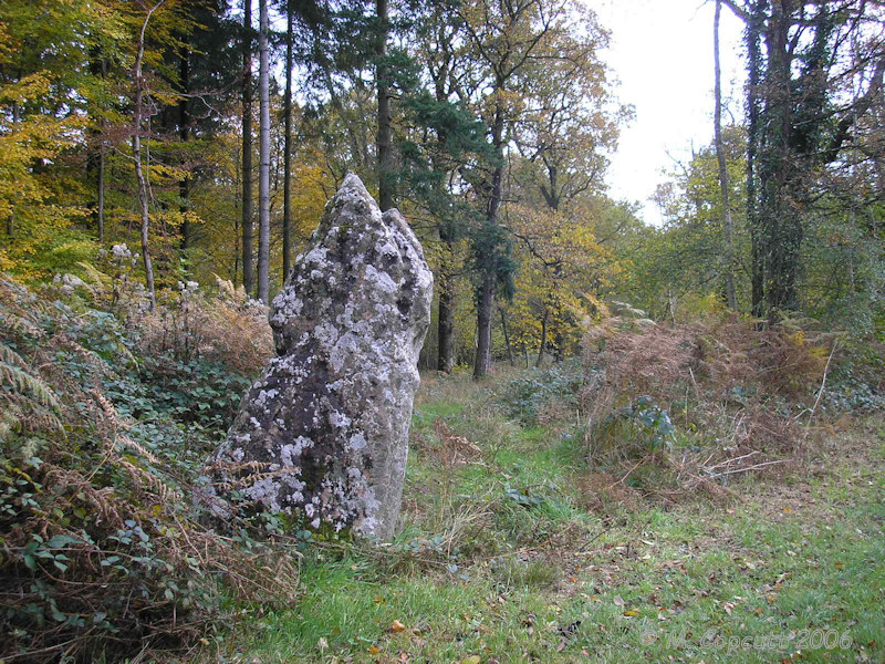 Long Stone, Staunton