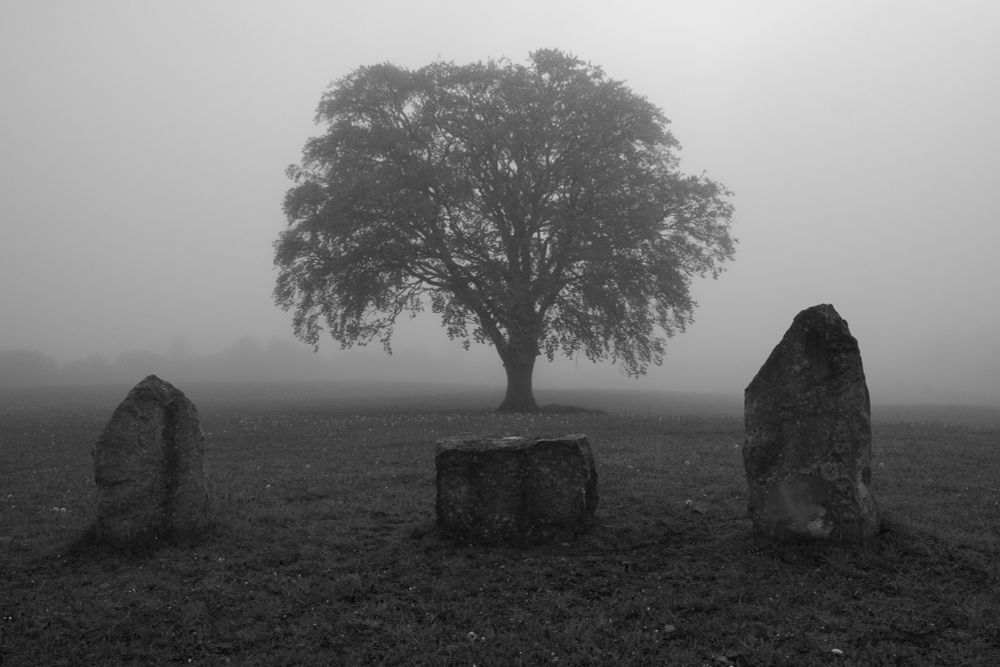 Click for the gallery page to add comments and vote (PID:282423) Stroudhenge (Gloucestershire)