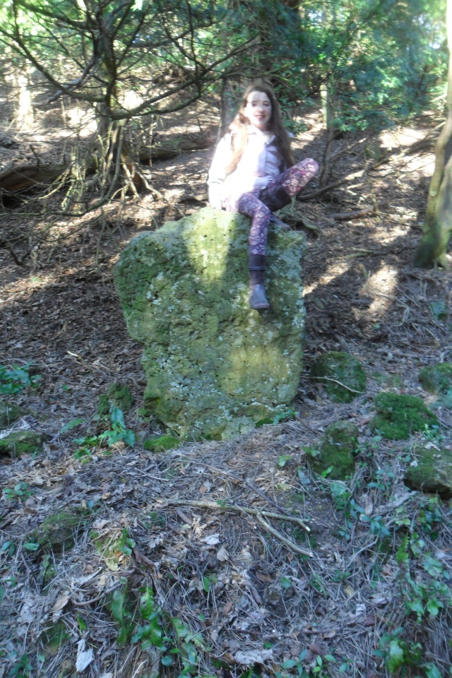 Birdlip standing stones Gallery : The Megalithic Portal and Megalith Map: