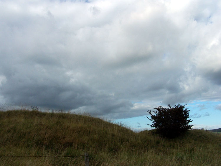 Coberley