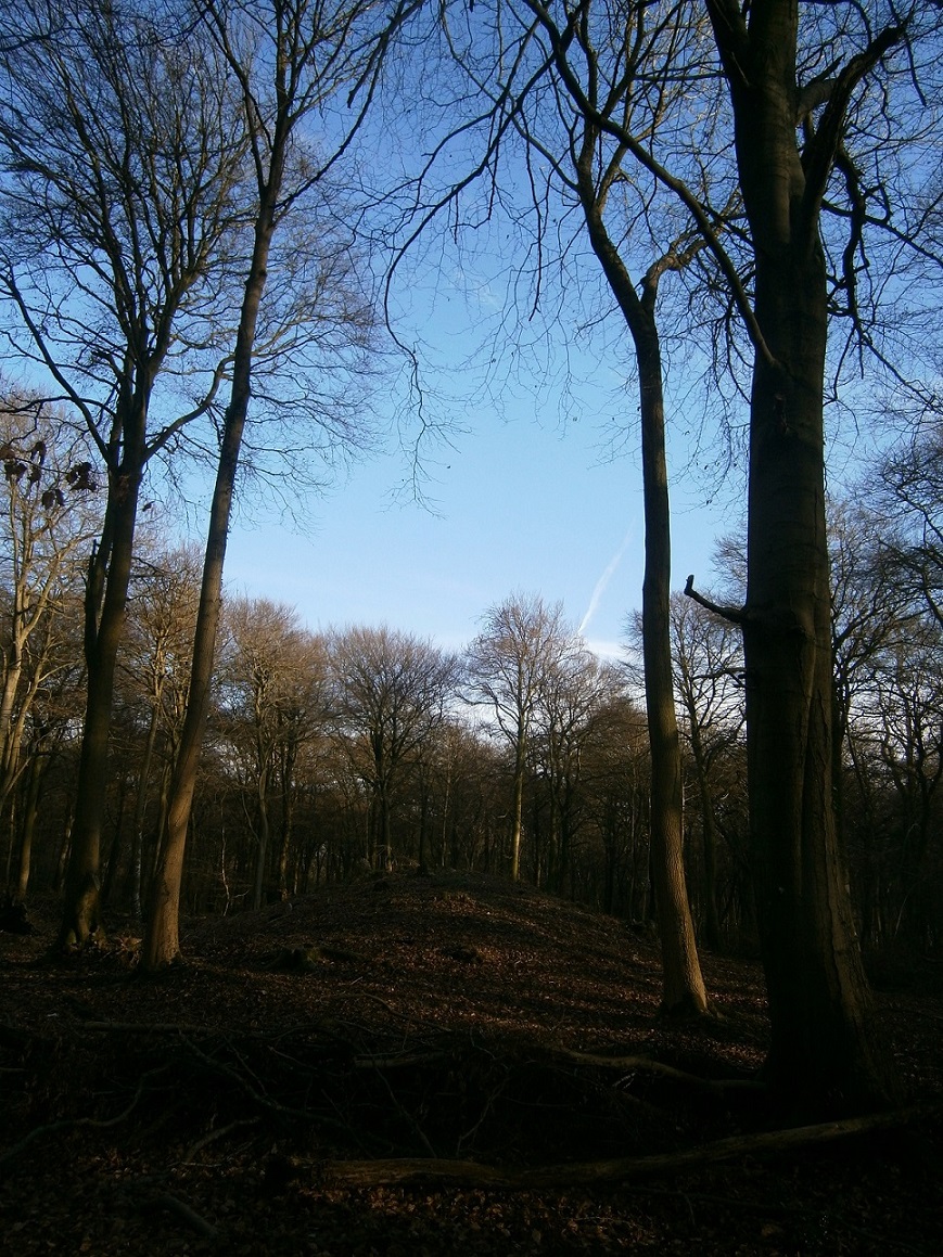 West Tump (Cranham) long barrow is about 60 metres long, and faces east. It lies in quiet mixed and beech woodland, so is in good condition and is not hard to find, up the hill but not on the crest. There is also what might be a ww2 bunker nearby. 
Trees on the barrow have been felled and brushwood marks the barrow borders, and acts as a barrier to off road bicycles. The barrow's future seems sec