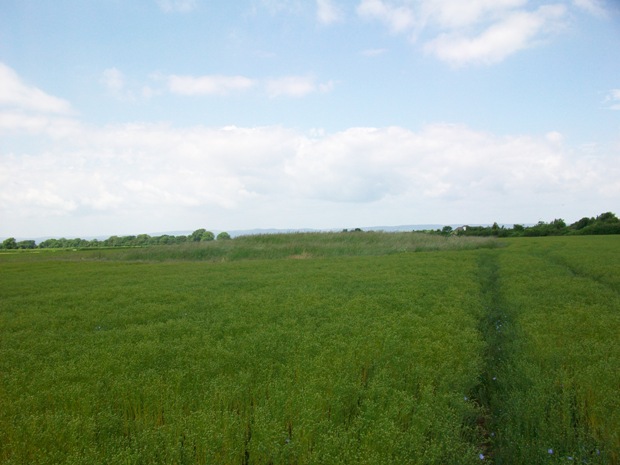 Alveston Round Barrow