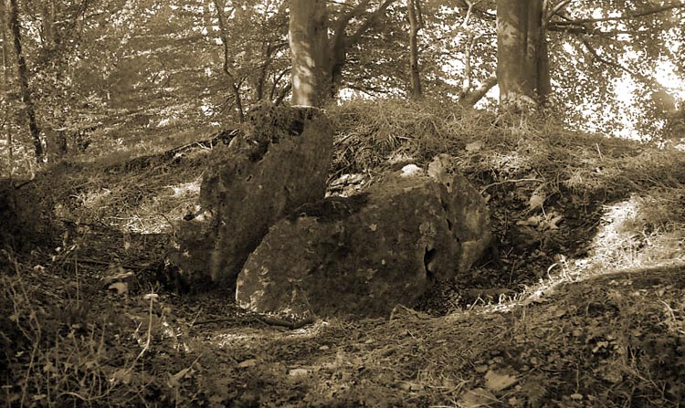 Gatcombe Lodge