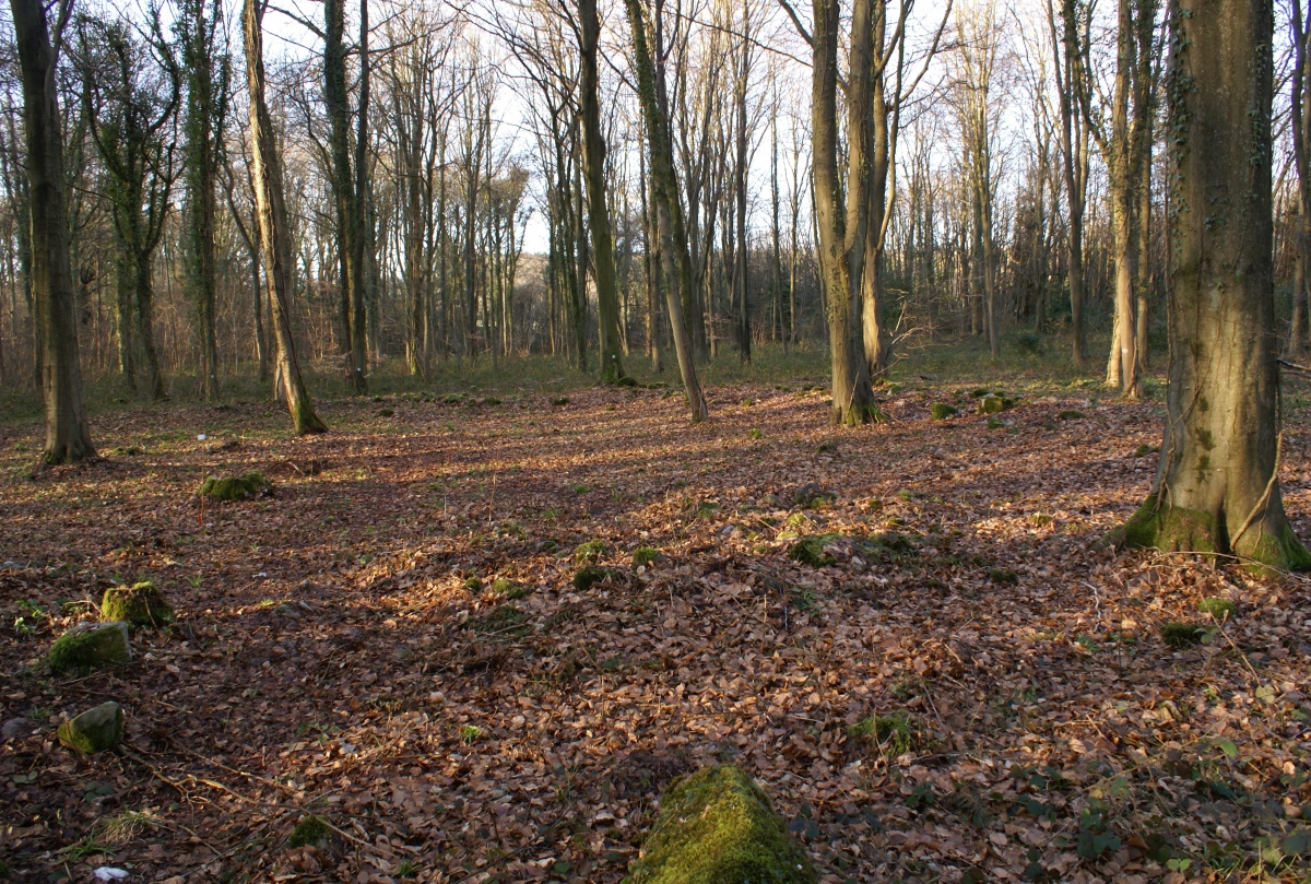 Click for the gallery page to add comments and vote (PID:204987) East Wood Ring Cairn
