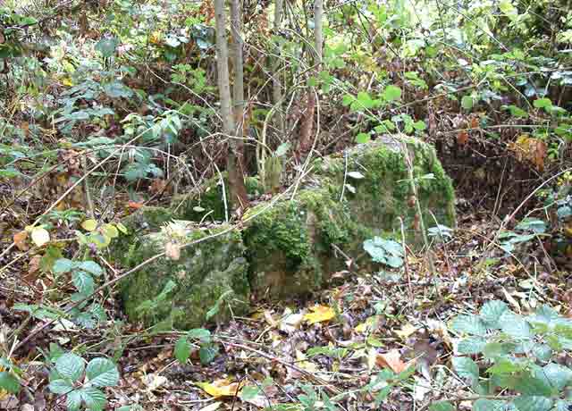 The Giant's Stone (Gloucestershire)