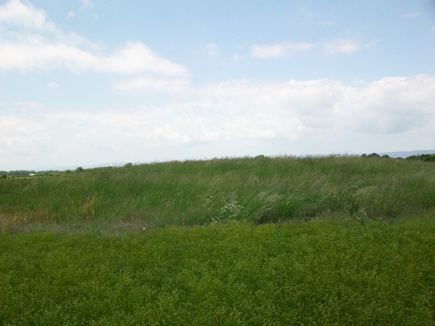 Alveston Round Barrow