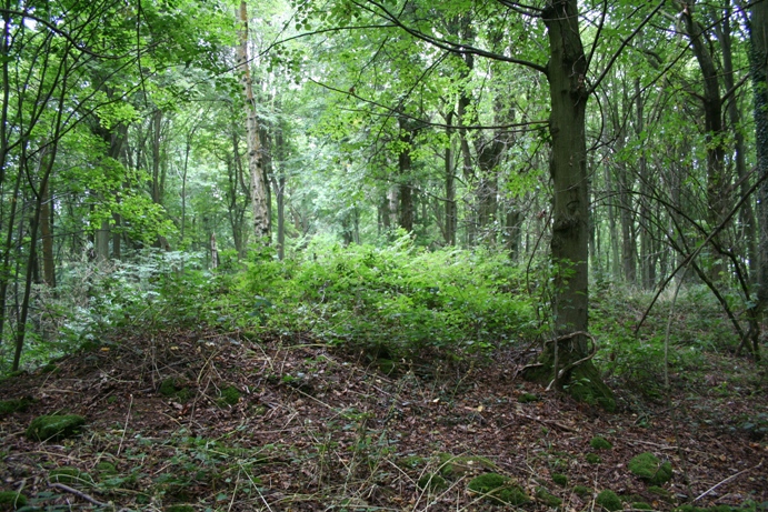 Welshbury Cairn