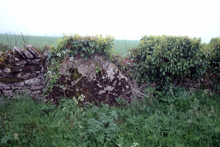 High Cross Stone (Elkstone)