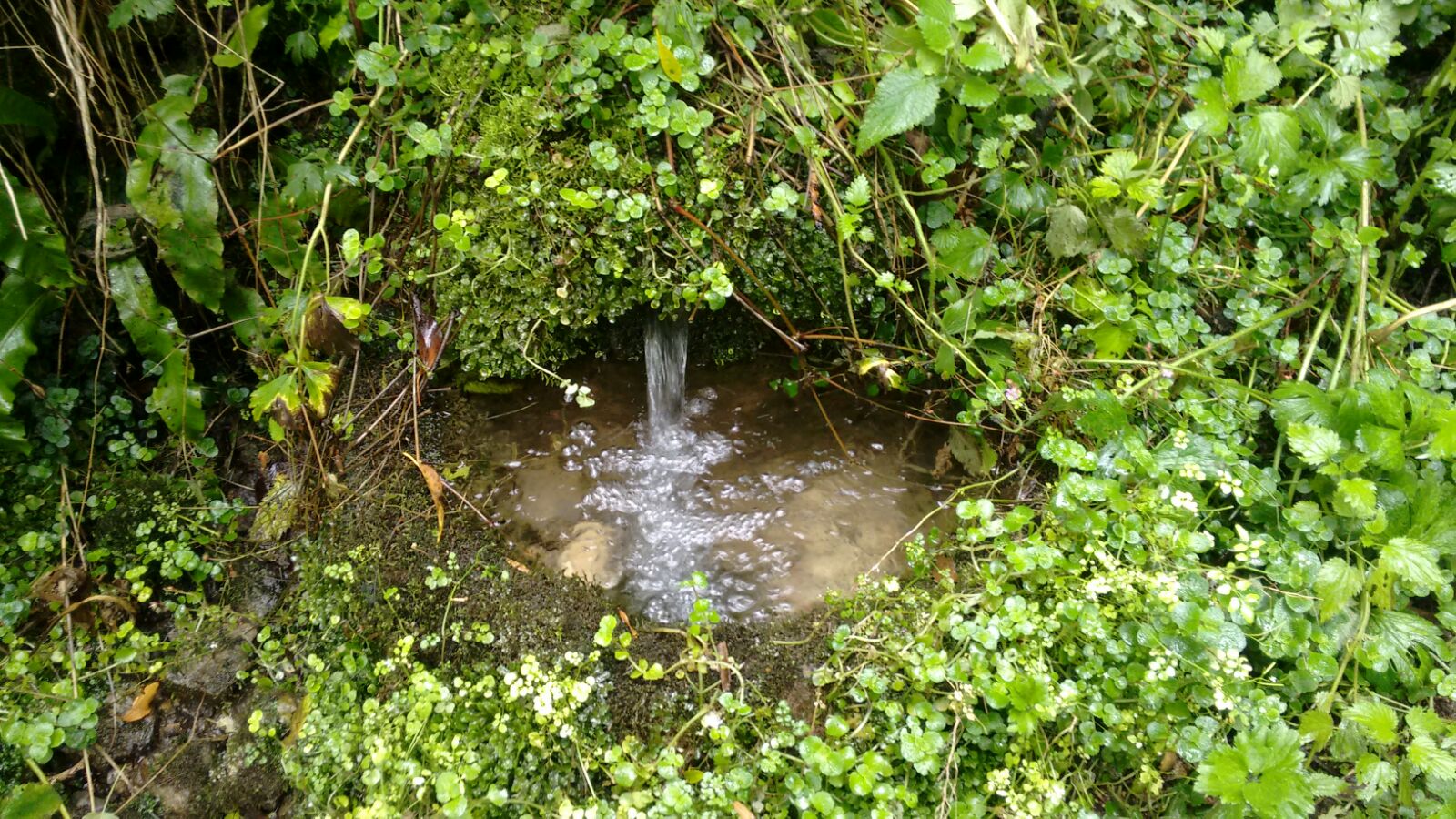 Climperwell, Gloucestershire | Megalithic Portal