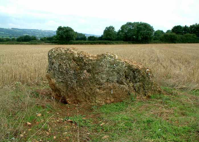 The Horestone (Lower Swell)