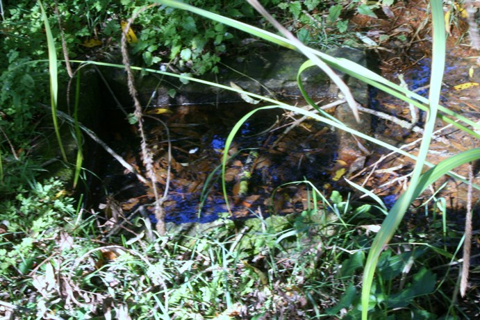 Red Well (Matson)