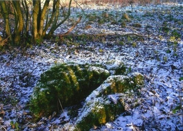 The Giant's Stone (Gloucestershire)