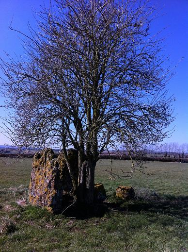 Wick Burial Chamber (Gloucestershire)