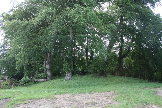 Poles Wood South