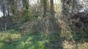 Nan Tow's Tump