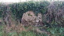 High Cross Stone (Elkstone) - PID:158797
