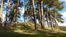 Crippet's Barrow - PID:158939