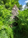 Long Stone, Staunton - PID:306942