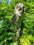 Long Stone, Staunton - PID:306945