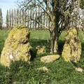 Wick Burial Chamber (Gloucestershire) - PID:210437