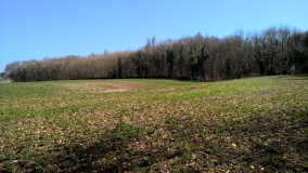Pole's Wood West