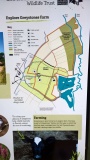 Salmonsbury Camp
