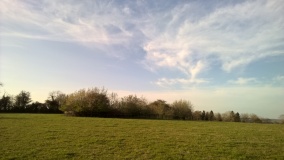 Cow Common Barrow Cemetery