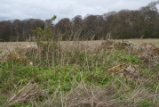 Adlestrop Hill - PID:88103